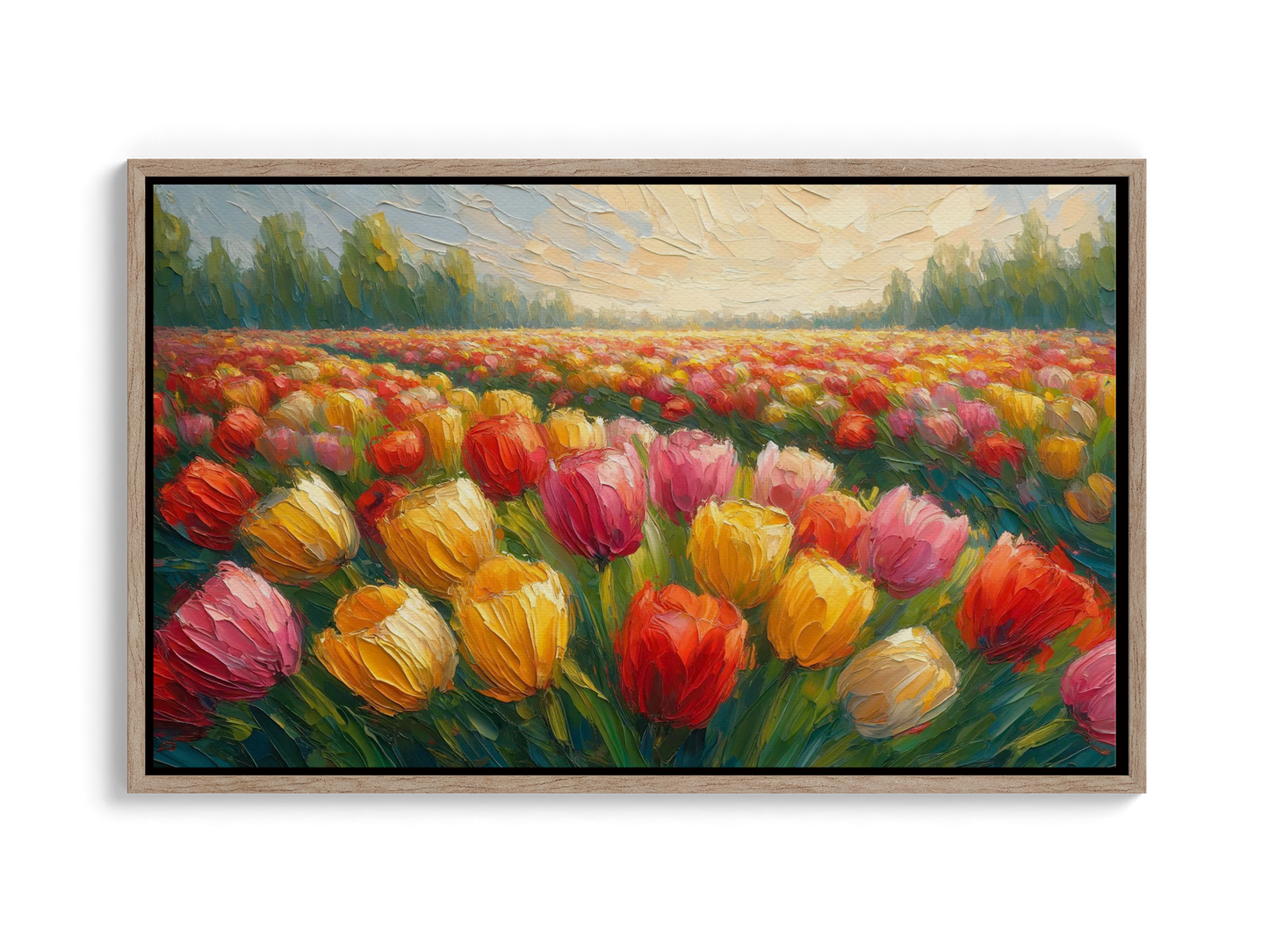 Tulip Meadows